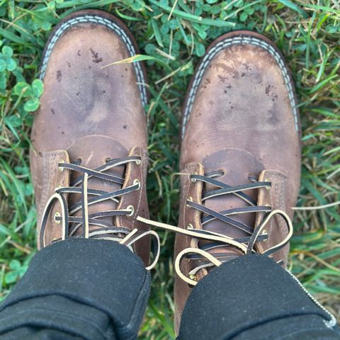 Nicks MTO in Horween Whiskey Predator