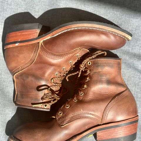 Nicks MTO in Horween Whiskey Predator