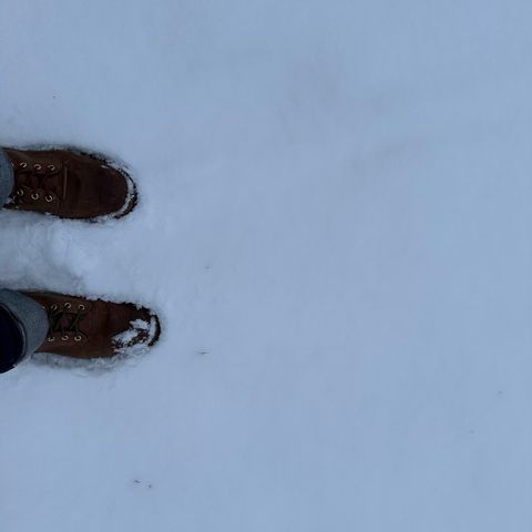 Nicks Overlander in Horween Orange Predator