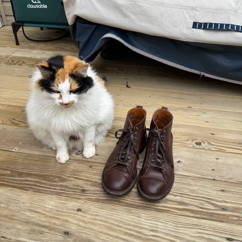 Allen Edmonds Discovery Lace To Toe in Allen Edmonds Brown Vegetable Tanned