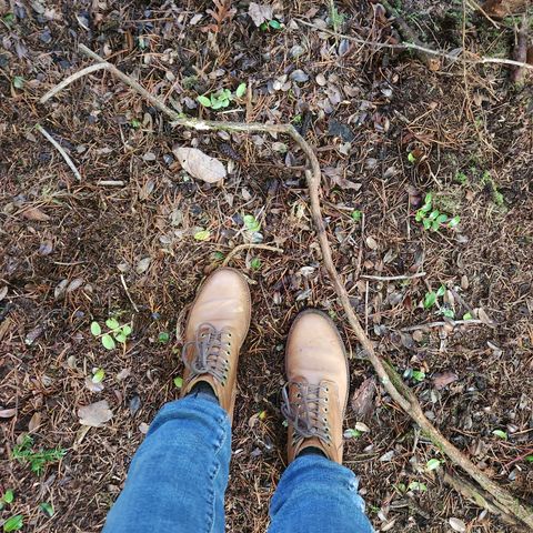 Grant Stone Nora Boot in Horween Dune Chromexcel