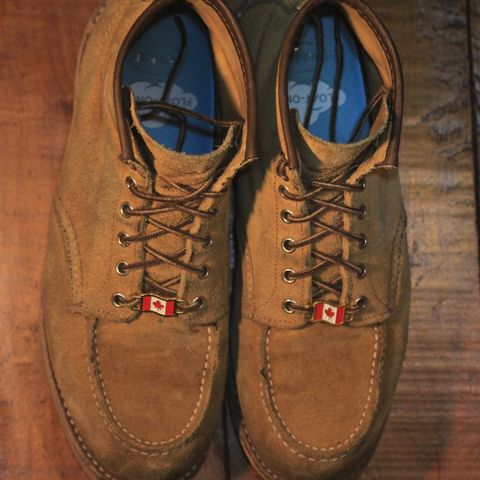 View photo of Red Wing 6-Inch Classic Moc in S.B. Foot Hawthorne Abilene