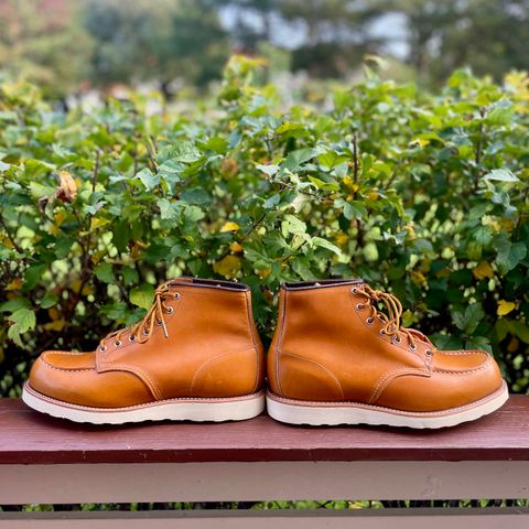 Irish Setter 6-Inch Classic Moc in Gold Russet Sequoia