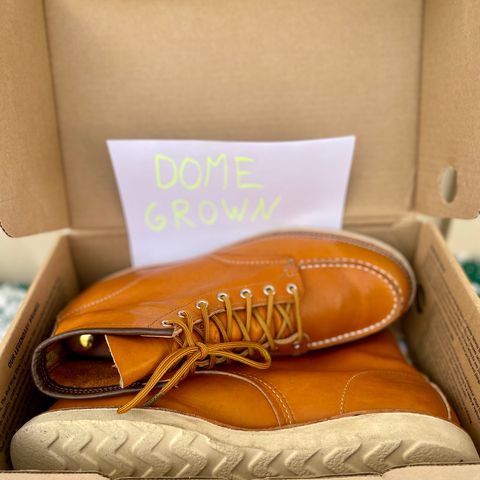 Irish Setter 6-Inch Classic Moc in Gold Russet Sequoia