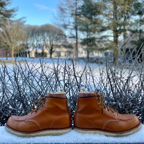 Irish Setter 6-Inch Classic Moc in Gold Russet Sequoia