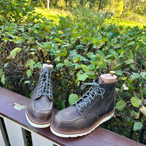 Red Wing 8883 in Concrete Rough & Tough leather