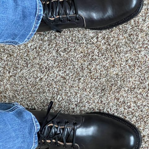 Search result thumbnail of Viberg Service Boot in Maryam Black Horsebutt