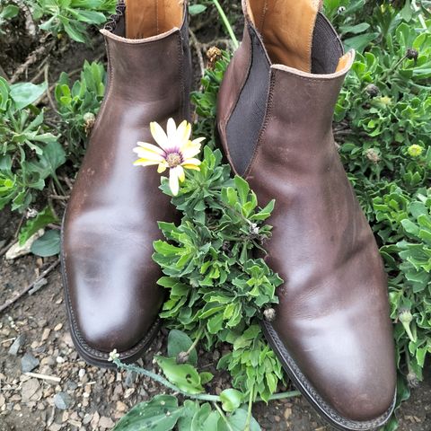 Herring Wainwright Chelsea Boots in Dark Brown Calf