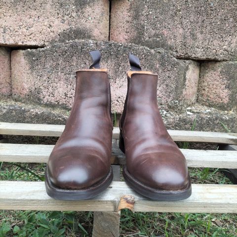Herring Wainwright Chelsea Boots in Dark Brown Calf