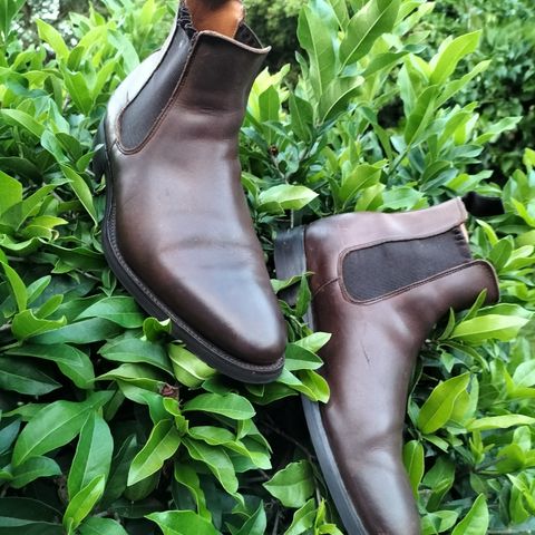Herring Wainwright Chelsea Boots in Dark Brown Calf