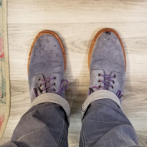 Grant Stone Diesel Boot in C.F. Stead Sky Kudu Reverse