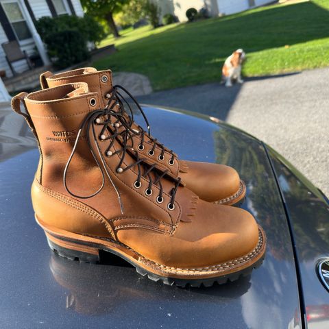 White's C355 Logger in Seidel Natural Double Shot