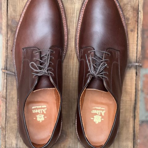 Alden Plain Toe Blucher in Horween Brown Chromexcel