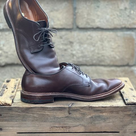 View photo of Alden Plain Toe Blucher in Horween Brown Chromexcel