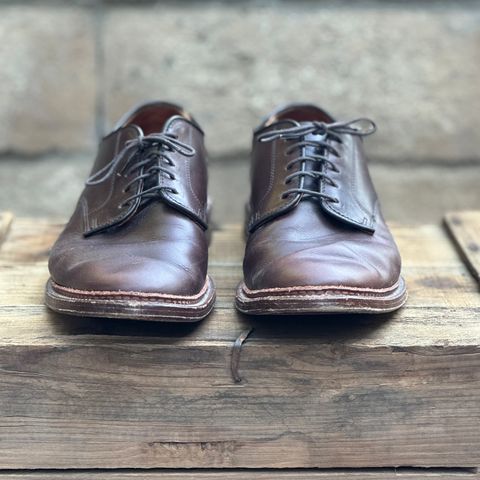 View photo of Alden Plain Toe Blucher in Horween Brown Chromexcel