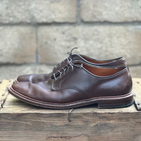 View photo of Alden Plain Toe Blucher in Horween Brown Chromexcel