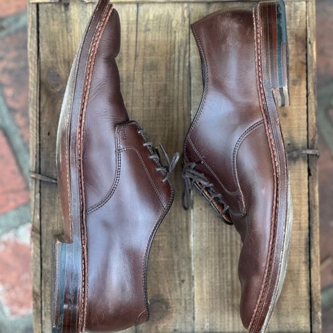 View photo of Alden Plain Toe Blucher in Horween Brown Chromexcel