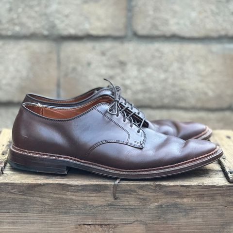 Alden Plain Toe Blucher in Horween Brown Chromexcel