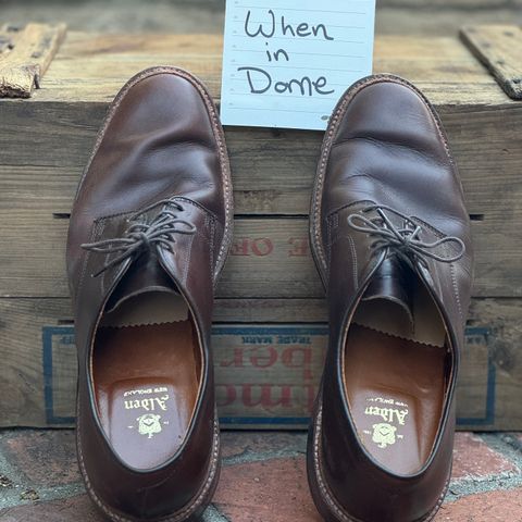Alden Plain Toe Blucher in Horween Brown Chromexcel