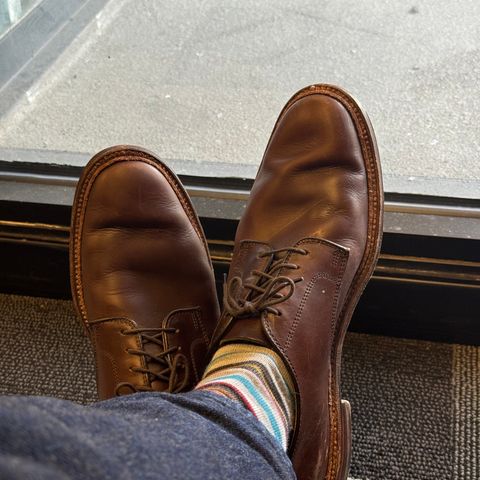 View photo of Alden Plain Toe Blucher in Horween Brown Chromexcel