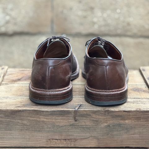 View photo of Alden Plain Toe Blucher in Horween Brown Chromexcel