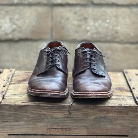 View photo of Alden Plain Toe Blucher in Horween Brown Chromexcel