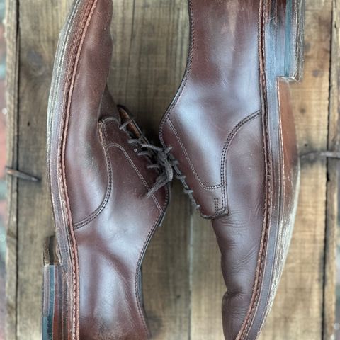 View photo of Alden Plain Toe Blucher in Horween Brown Chromexcel