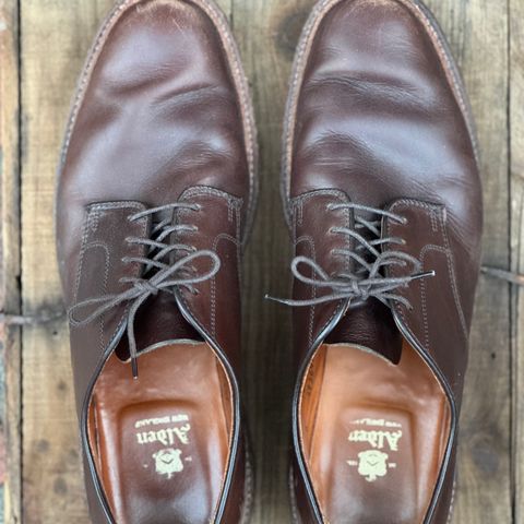 View photo of Alden Plain Toe Blucher in Horween Brown Chromexcel