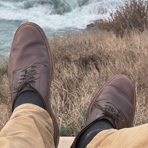 View photo of Alden Plain Toe Blucher in Horween Brown Chromexcel