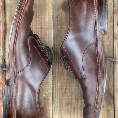 View photo of Alden Plain Toe Blucher in Horween Brown Chromexcel