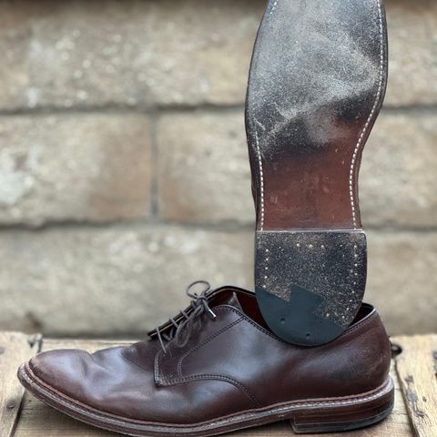 Search result thumbnail of Alden Plain Toe Blucher in Horween Brown Chromexcel