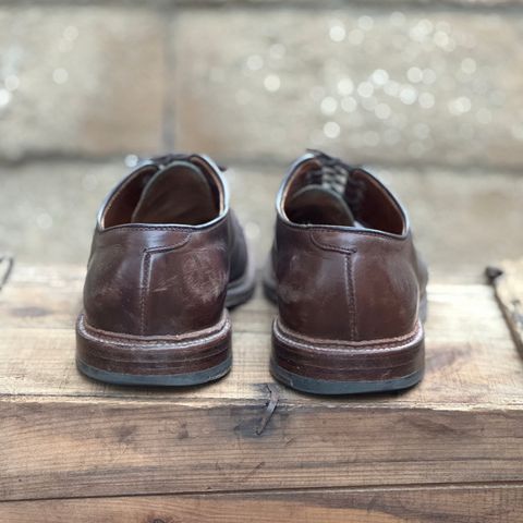 View photo of Alden Plain Toe Blucher in Horween Brown Chromexcel