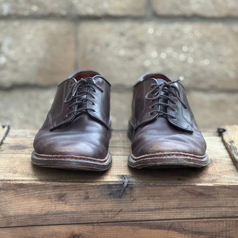 View photo of Alden Plain Toe Blucher in Horween Brown Chromexcel