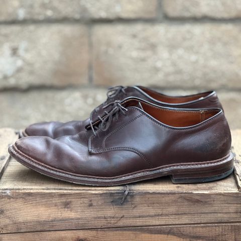 View photo of Alden Plain Toe Blucher in Horween Brown Chromexcel