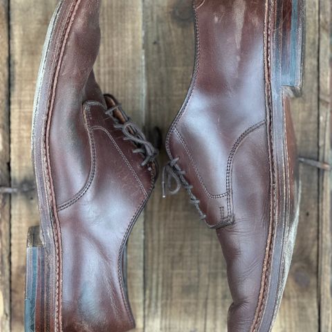 View photo of Alden Plain Toe Blucher in Horween Brown Chromexcel