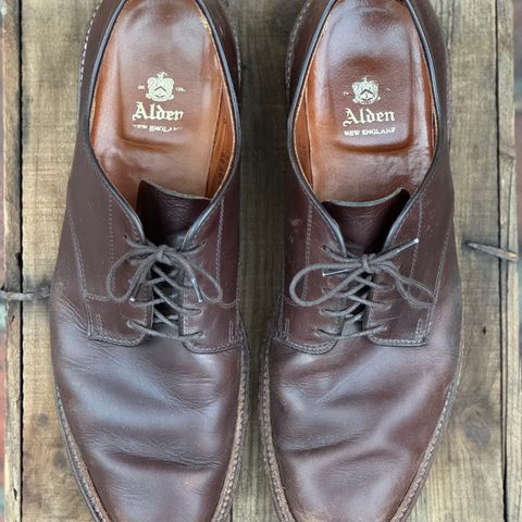 View photo of Alden Plain Toe Blucher in Horween Brown Chromexcel