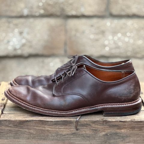 Alden Plain Toe Blucher in Horween Brown Chromexcel