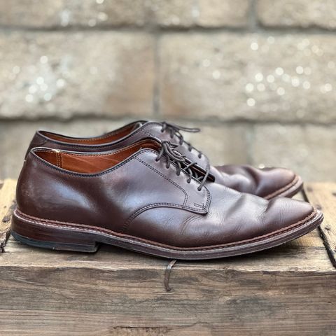 Alden Plain Toe Blucher in Horween Brown Chromexcel