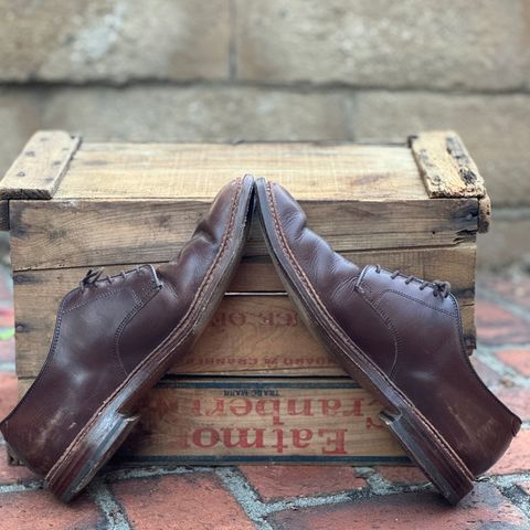 Alden Plain Toe Blucher in Horween Brown Chromexcel