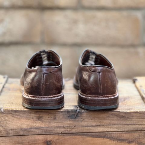 Alden Plain Toe Blucher in Horween Brown Chromexcel