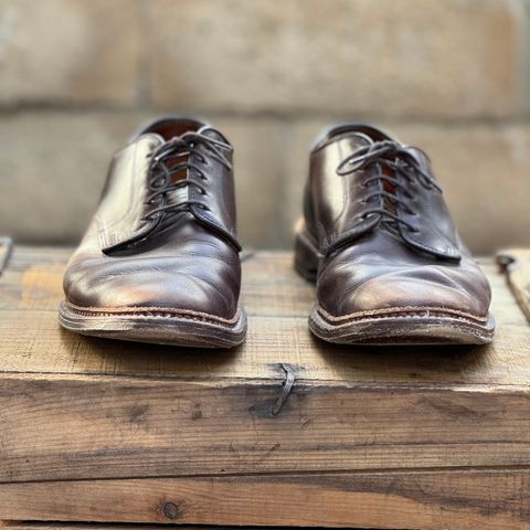 Alden Plain Toe Blucher in Horween Brown Chromexcel