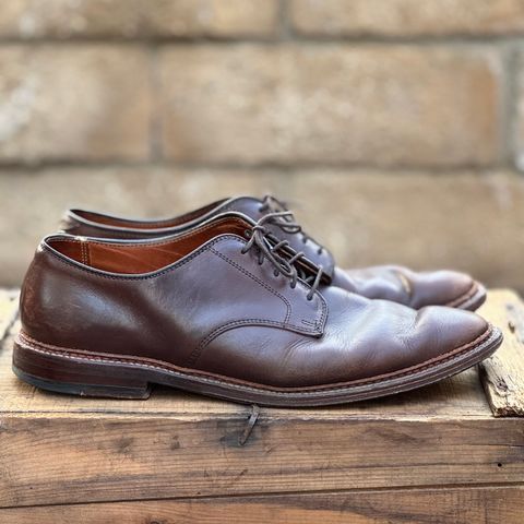 Alden Plain Toe Blucher in Horween Brown Chromexcel