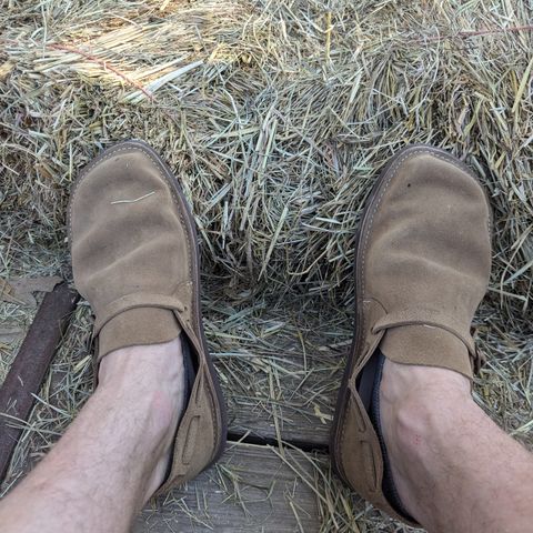 Oak Street Bootmakers Country Loafer in Horween Natural Chromexcel Roughout