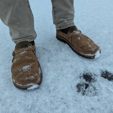 Oak Street Bootmakers Country Loafer in Horween Natural Chromexcel Roughout