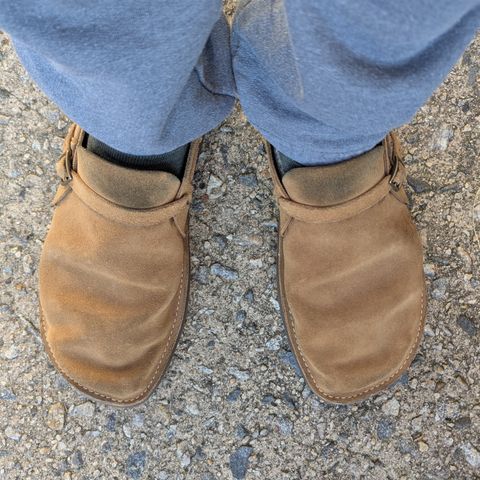 Oak Street Bootmakers Country Loafer in Horween Natural Chromexcel Roughout