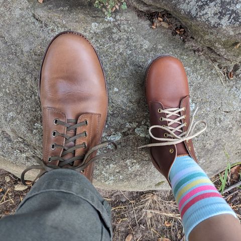 Oak Street Bootmakers Field Boot in Horween Natural Chromexcel
