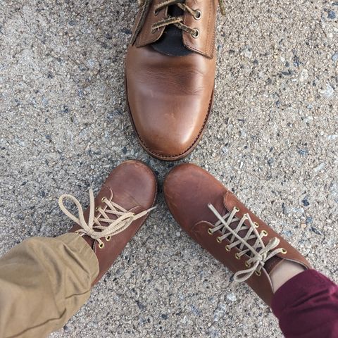 Oak Street Bootmakers Field Boot in Horween Natural Chromexcel