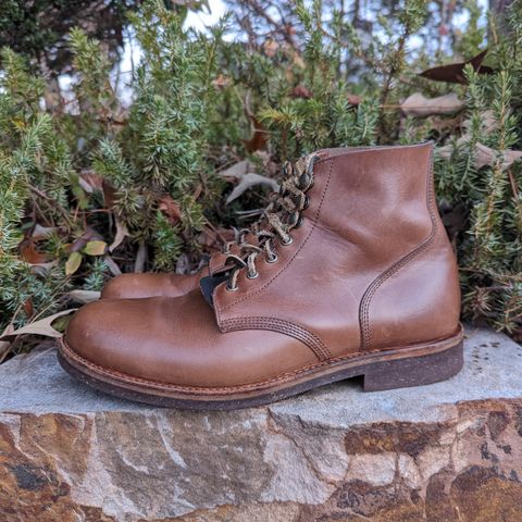 Oak Street Bootmakers Field Boot in Horween Natural Chromexcel