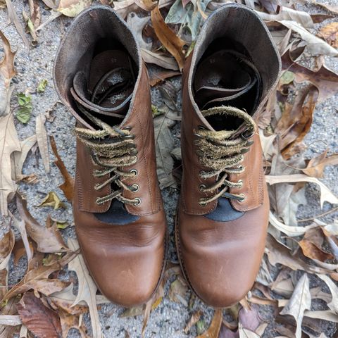 Oak Street Bootmakers Field Boot in Horween Natural Chromexcel