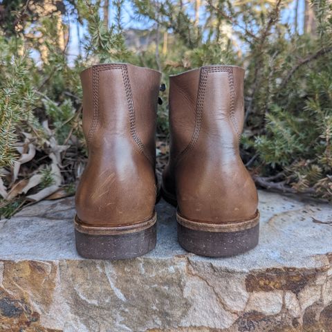 Oak Street Bootmakers Field Boot in Horween Natural Chromexcel